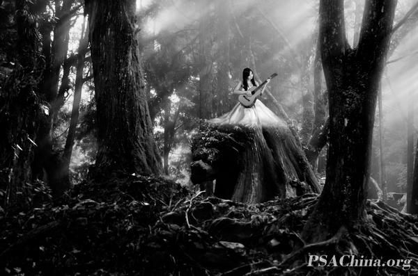 12.������Ʒ������������Forest song.jpg