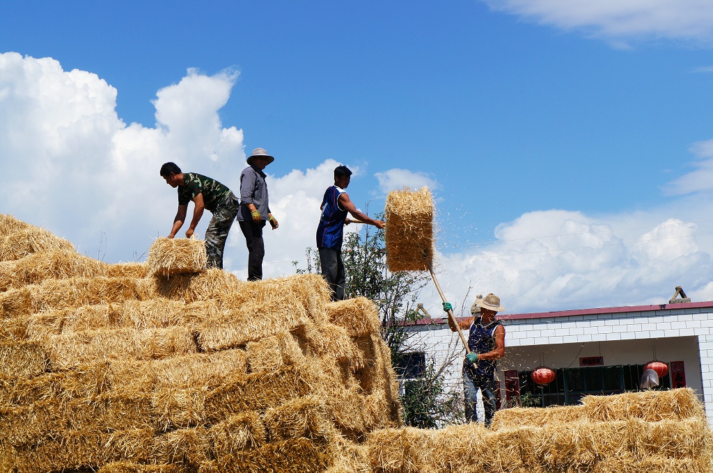 ���ư���niuqinrong 552.jpg