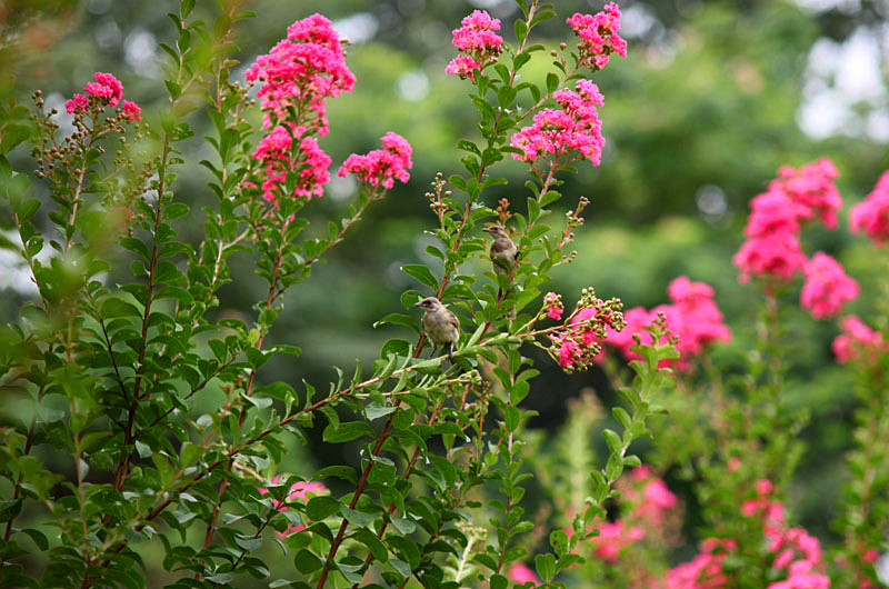 ��Ƭ 228_����.jpg