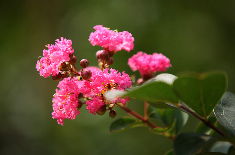 ��Ƭ 213_����.jpg