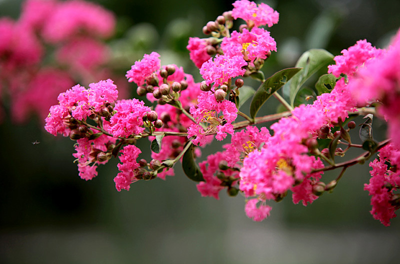 ��Ƭ 235_����.jpg