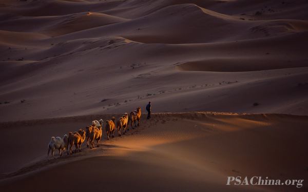 03.������������������Ʒ������(��)��(Morning Light)���PSNY練���.jpg