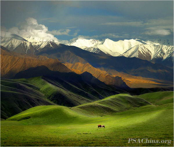 11.������Ʒ������ɽ��ԭ��Tianshan Grassland.jpg