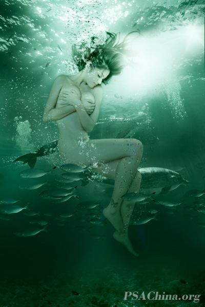 12.������Ʒ������֮�Ρ�Sea Dream.jpg