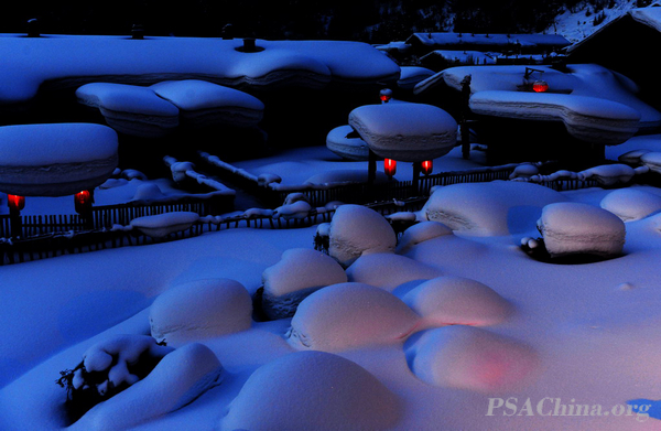 02.�¾�����Ʒ������ҹ��COLD NIGHT.jpg