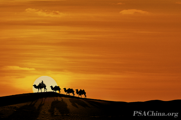 04.����Դ��Ʒ������Ӱ��Shadows of Camels.jpg
