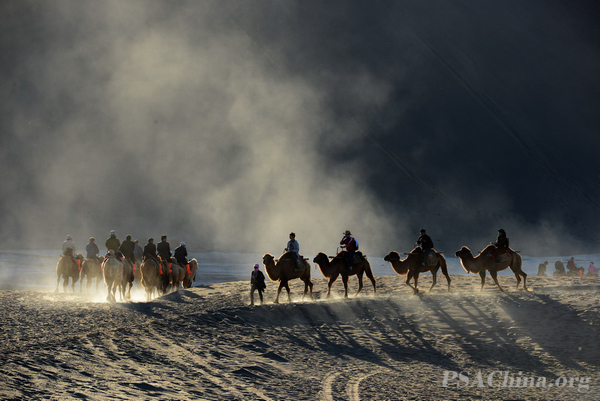 01.��Ա�¾�������ECPA CM����Ʒ������Į֮�á�DESERT TRIP.jpg