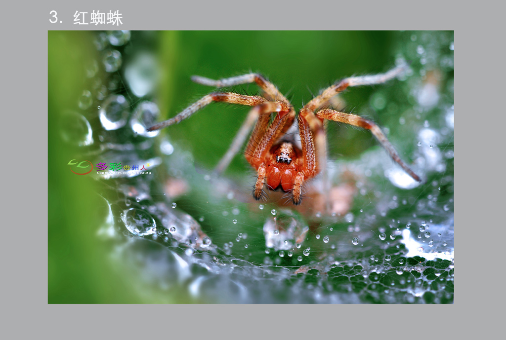 3.DSC_0152 �� ����.jpg