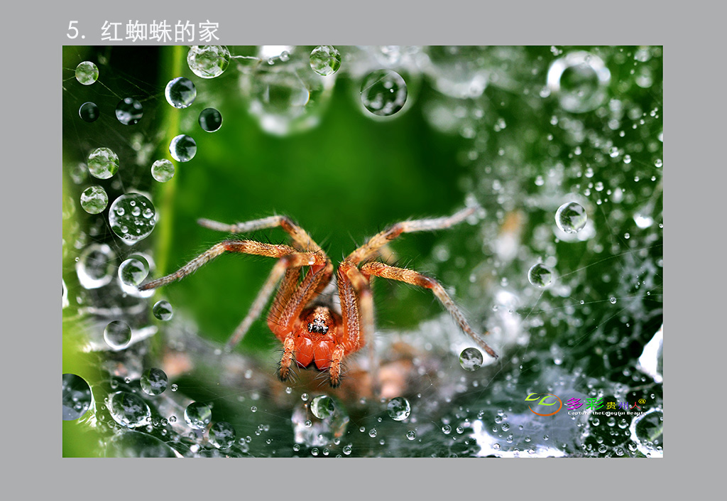 4,DSC_0153 �� ����.jpg