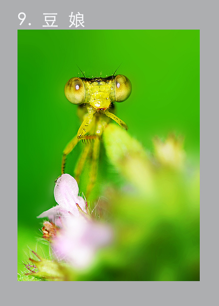 6.���� ���� ���� ����.jpg