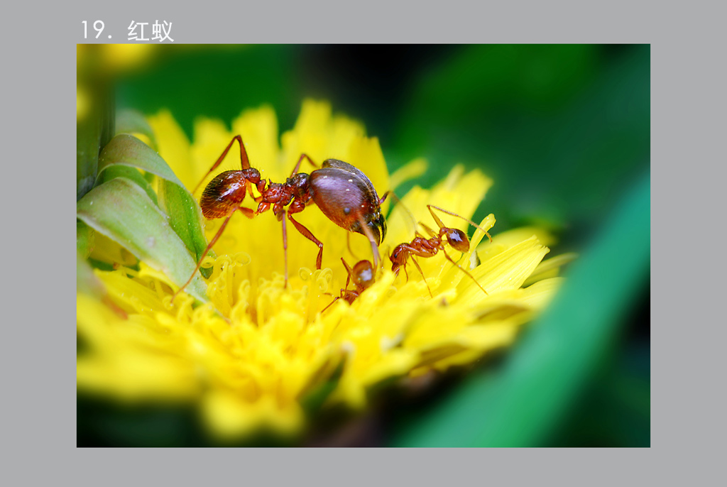 11.DSC_8623 a�� ����.jpg