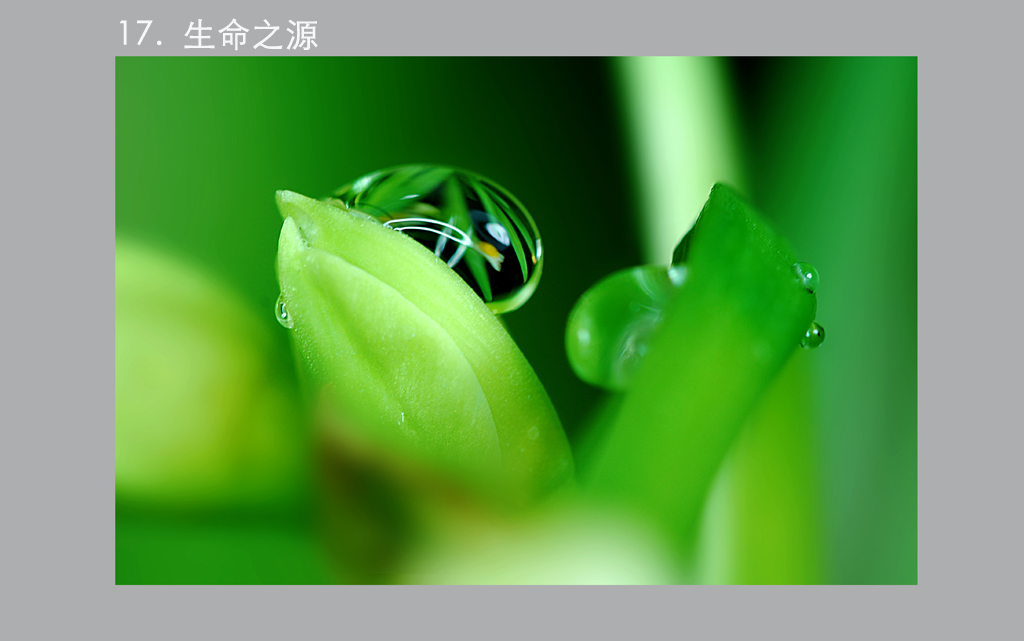 10.����  ����.jpg