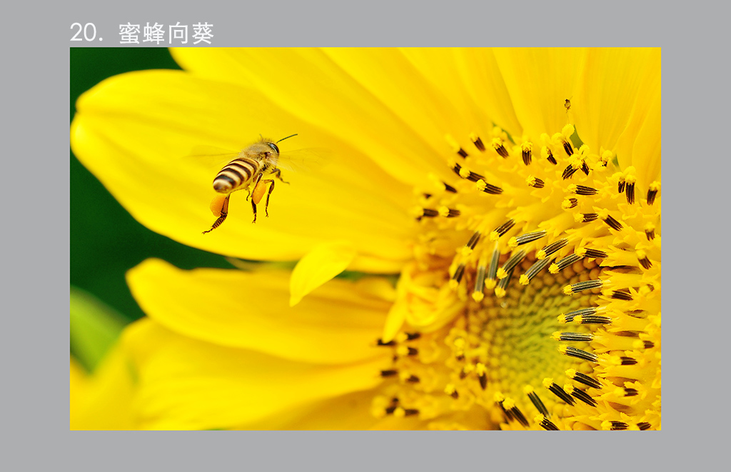 12.DSC0342 �� ����.jpg