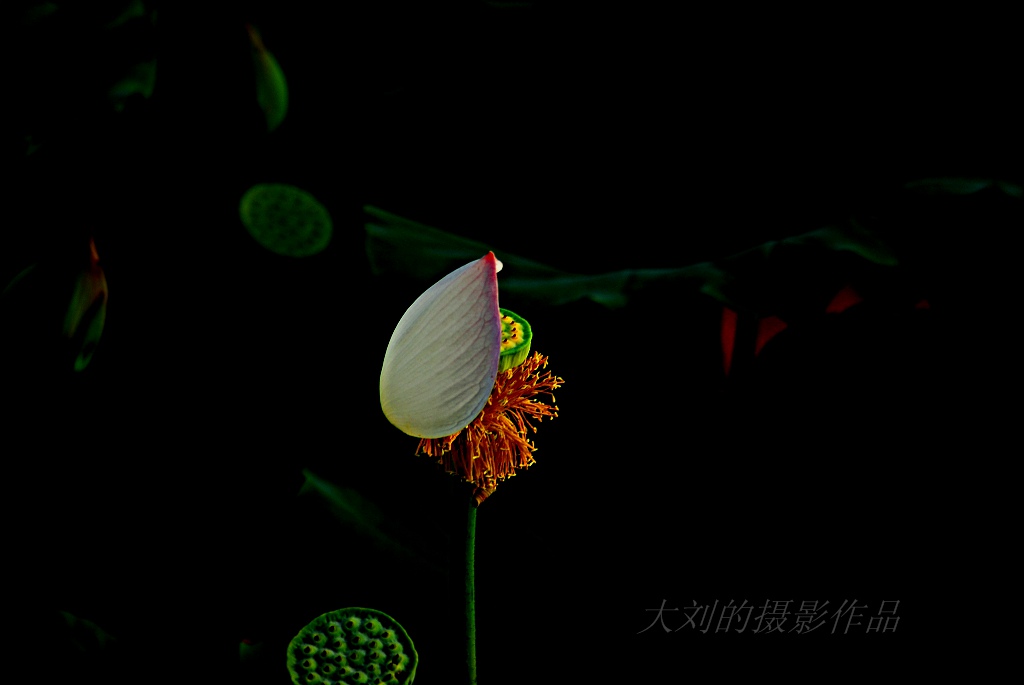 �׺ɻ���Ӱ�� 093.jpg