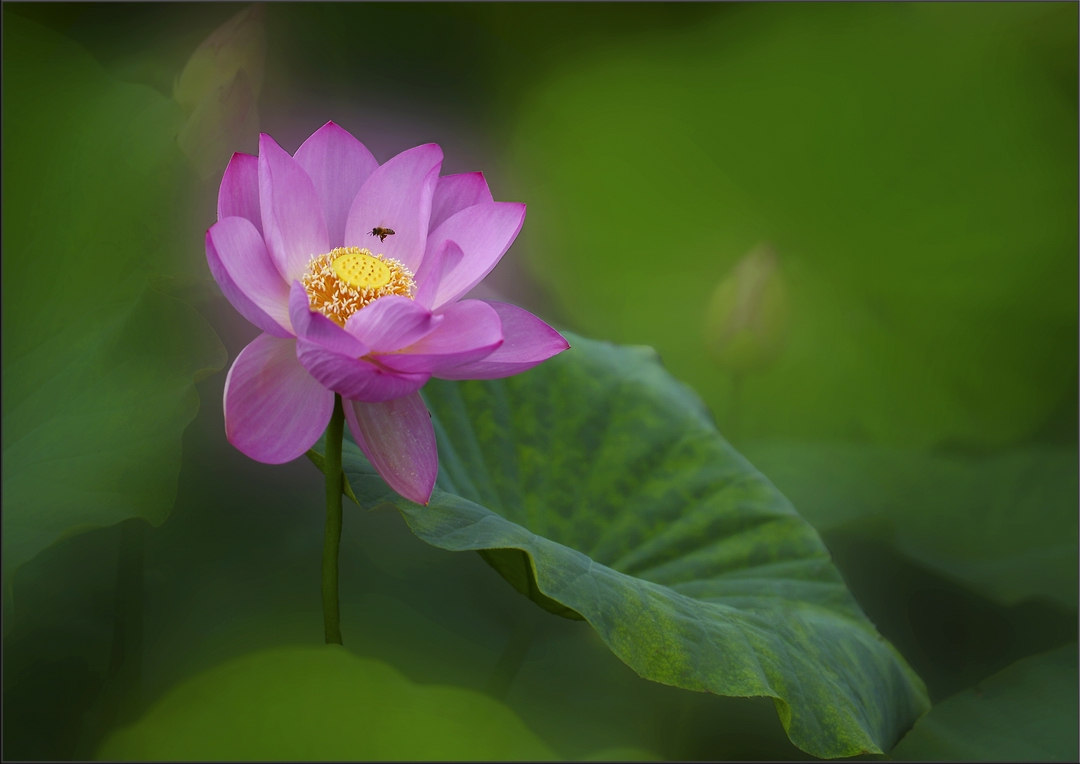 40x50  ��  ��.jpg