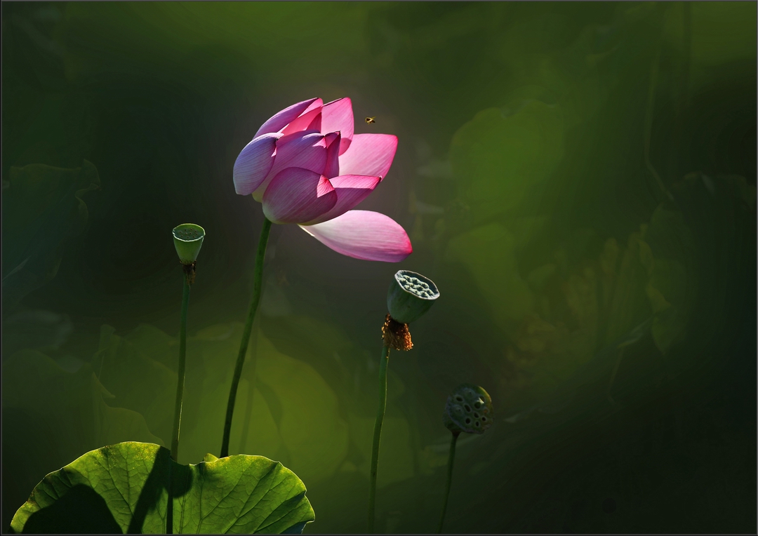 40x50  �� ��ȶ���.jpg