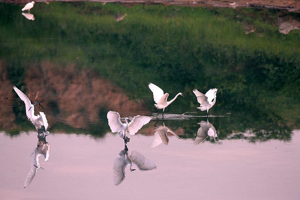 H46R5098 - ���� (2).jpg