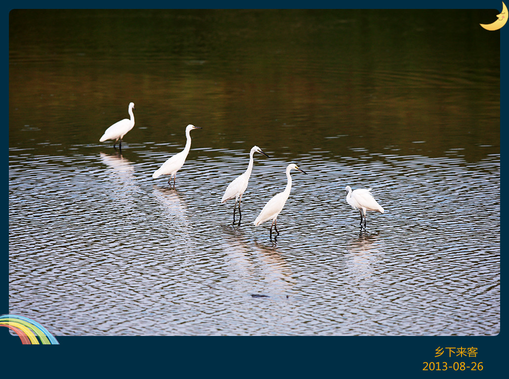 H46R1602_���� - ����.jpg