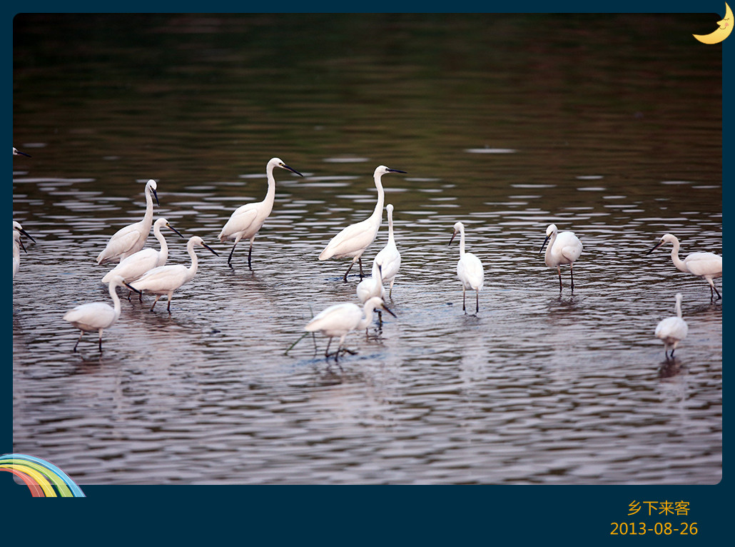 H46R3030_���� - ���� - ����.jpg