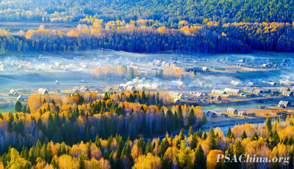 01.��־��������������PSTC-SM������ľ��ɫ��Autumn grasses.jpg