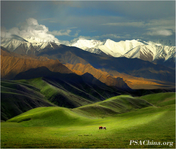 02.㻭PSA-HMɽԭ Tianshan Grassland.jpg