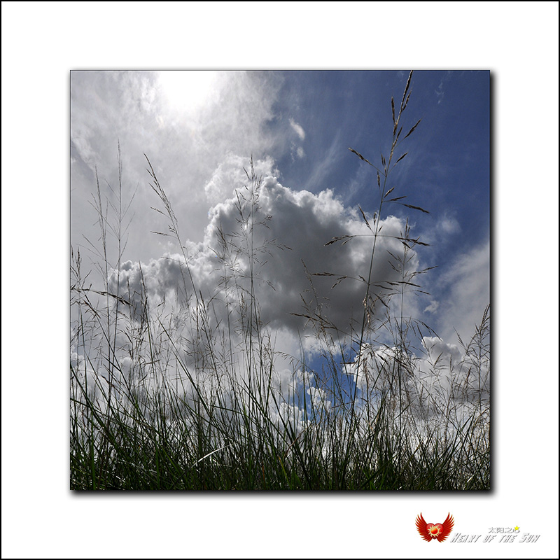 �տ�����