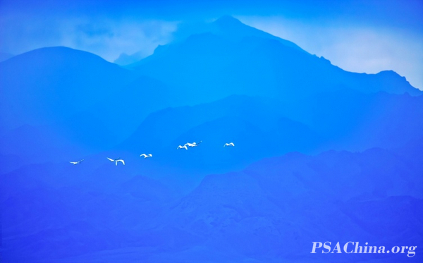 07.��־����Ʒ������ɫ������Blue dream.jpg