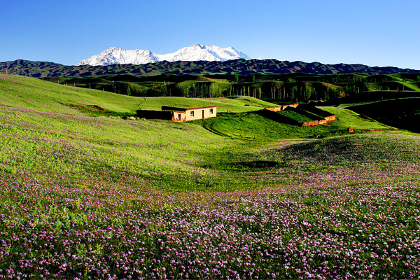 IMG_0561-2 ����.jpg