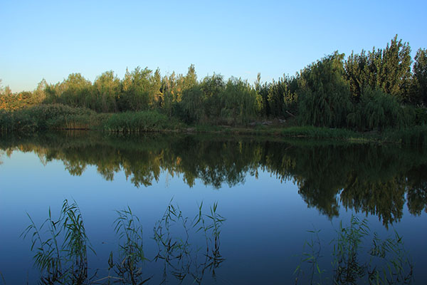 2013.9.8�ģ���г��Ȼ