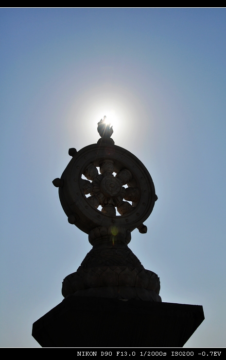 ����--�º�ΰ (5).JPG