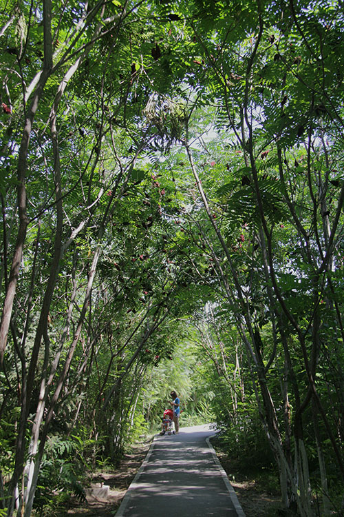 ���ɵ�������С��