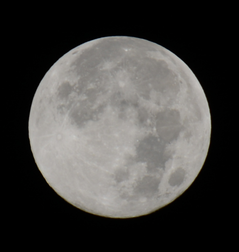 ����԰�� 019a.jpg