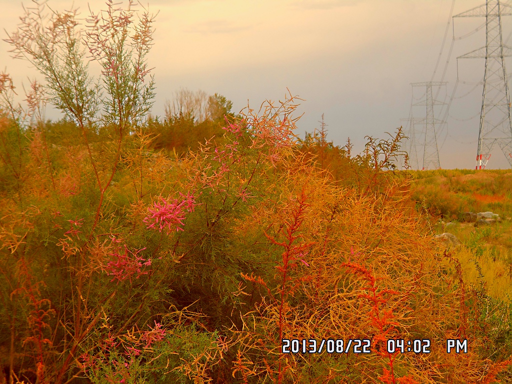 ��������ͳ���ѹ����