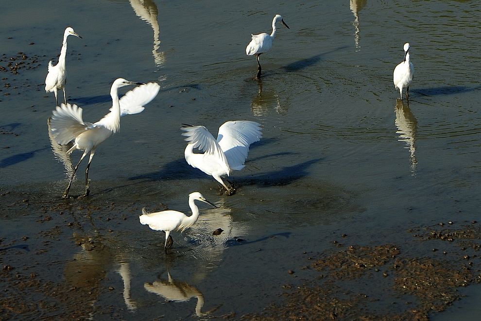 DSC_2686.jpg