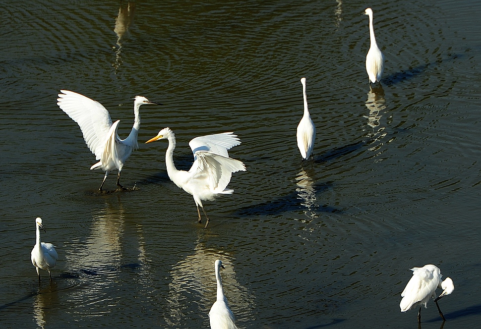DSC_2689.jpg