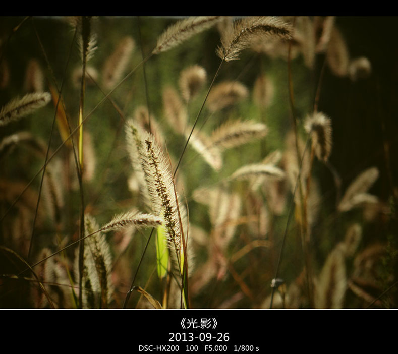 DSC02739_���� ����.jpg