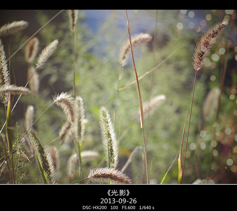 DSC02741_���� ����.jpg