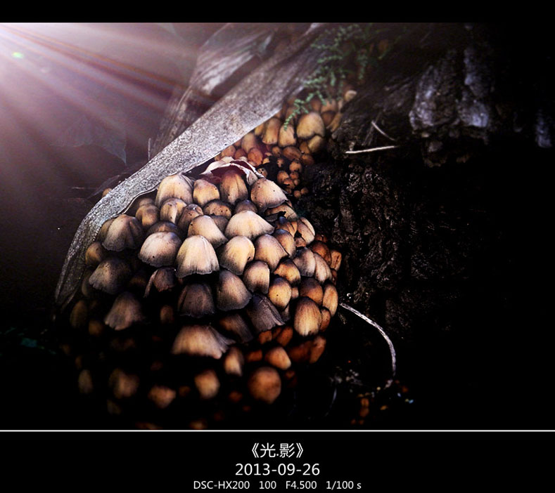 DSC02744_���� ����.jpg