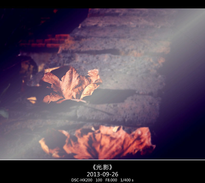 DSC02752_���� ����.jpg