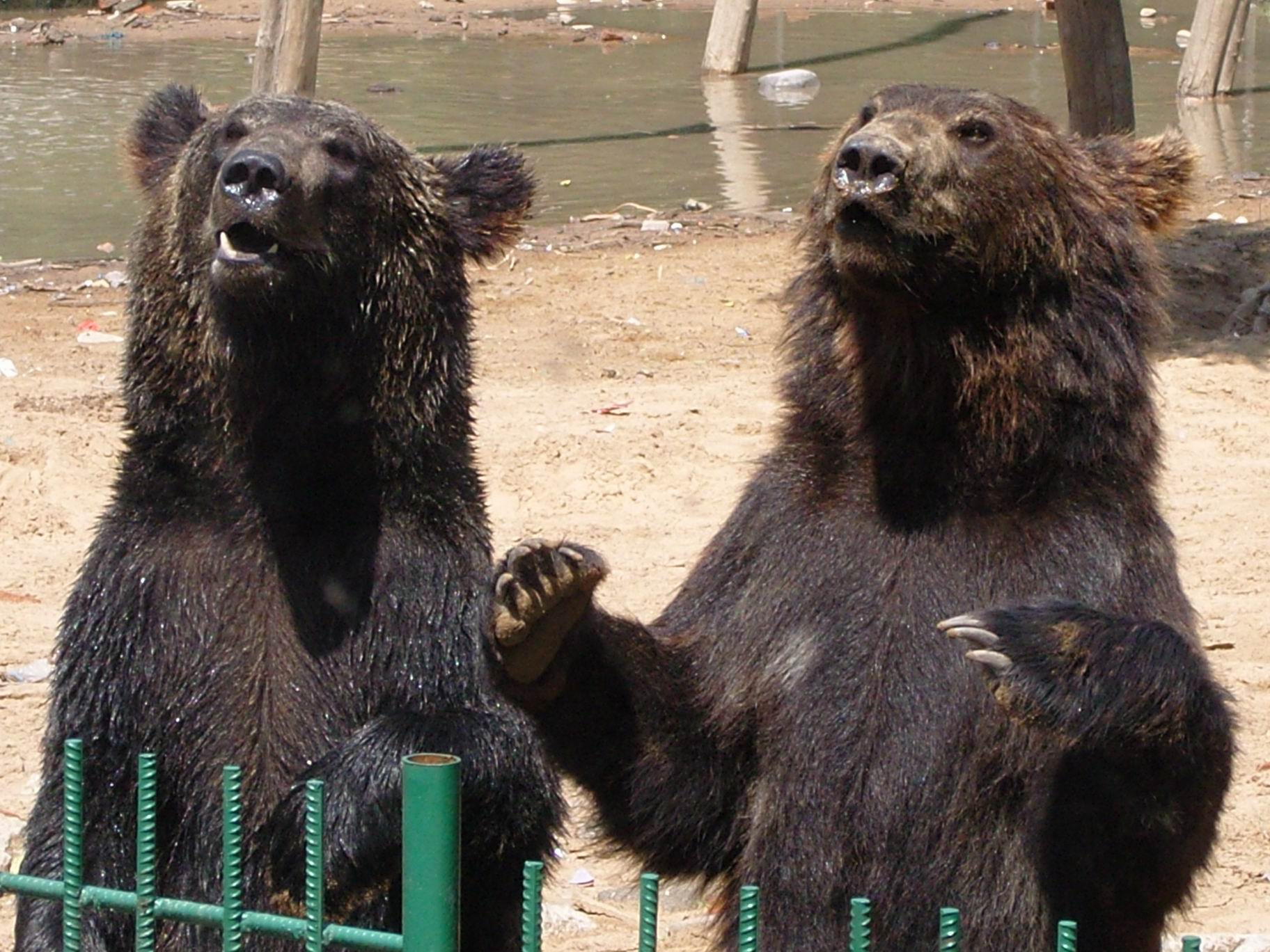 ������С SNC10071.JPG