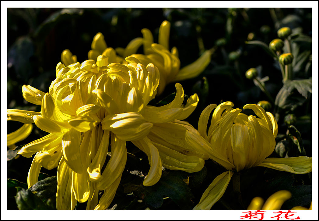 2013��9��24�վջ� 6.jpg