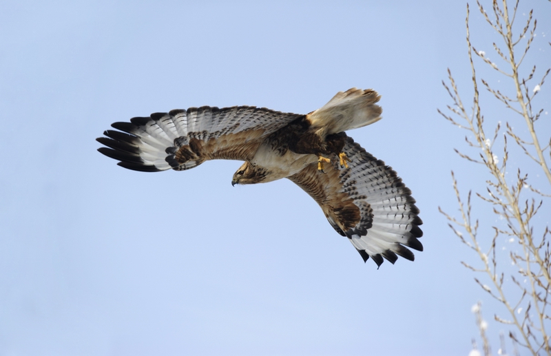 �\\\\�� - ����.jpg