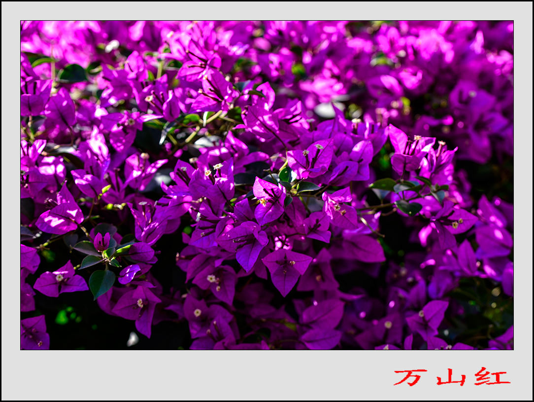 2013��9��24�վջ� 7.jpg