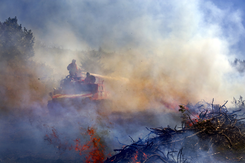 ������̹�ˡ����