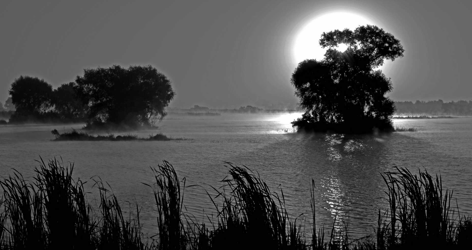 IMG_1666���� (2).jpg