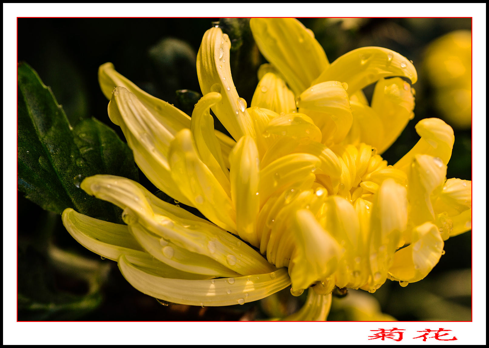 ��ת 2013��9��24�վջ�10.jpg