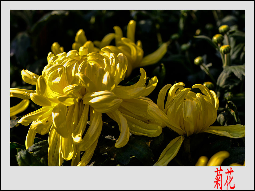 2013��9��24�վջ� 10.jpg