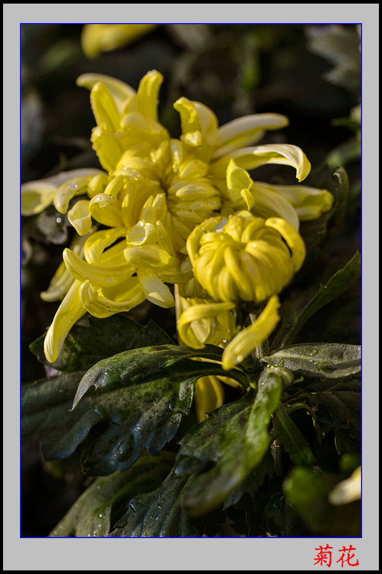 ��ת ��ת 2013��9��24�վջ� 11.jpg