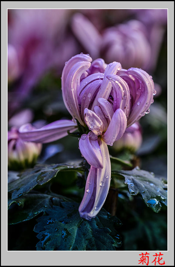 ��ת ��ת 2013��9��24�վջ� 12.jpg