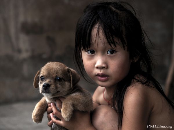 13.��ǿ��Ʒ����Ů��������С��顷Little girl and her partner.jpg